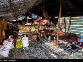 پرندگان زمستان گذر