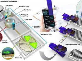 تشخیص کروناویروس