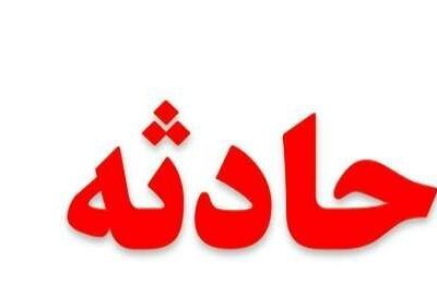 راننده مینی‌بوس