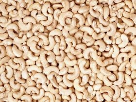 مبارزه با قاچاق کالا