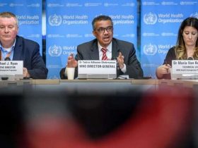 سازمان جهانی بهداشت