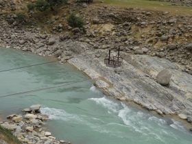 شبکه های اجتماعی