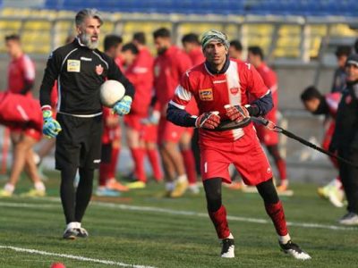 داوود فنایی