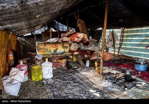 پرندگان زمستان گذر